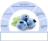 Blueberry Essence Hyaluronic Acid Liquid