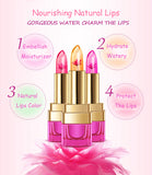 Waterproof Long Lasting Lipgloss Lip Stick