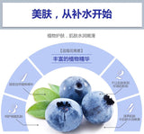 Blueberry Sleeping Facial Mask 50g