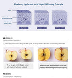 Blueberry Essence Hyaluronic Acid Liquid