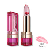 Waterproof Long Lasting Lipgloss Lip Stick