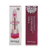 Waterproof Long Lasting Lipgloss Lip Stick
