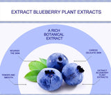 Miracle Blueberry Beauty Set 4Pcs/Lot
