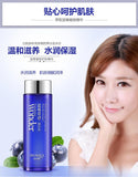 Blueberry Moisturizing Essence Lotion Oil 120ml